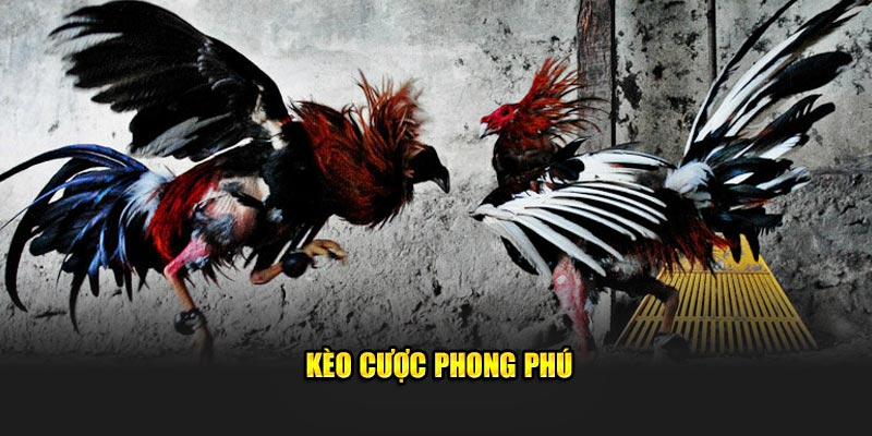 kèo cược phong phú trong đá gà 8xbet